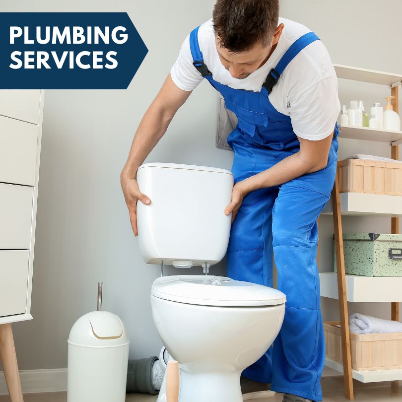 Plumbing Company in Chesaning, MI