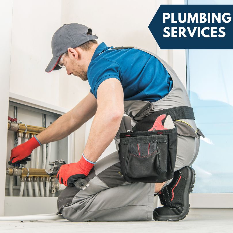 Chesaning Plumbing Company
